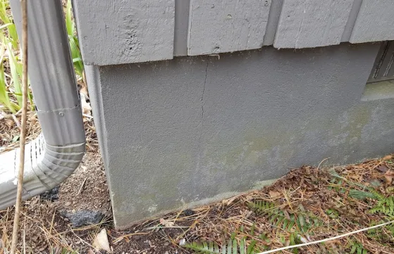 crack in foundation